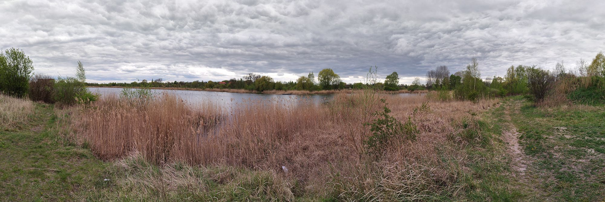 Xiaomi Mi 10. Test fotograficznych możliwości tańszej wersji flagowca 11