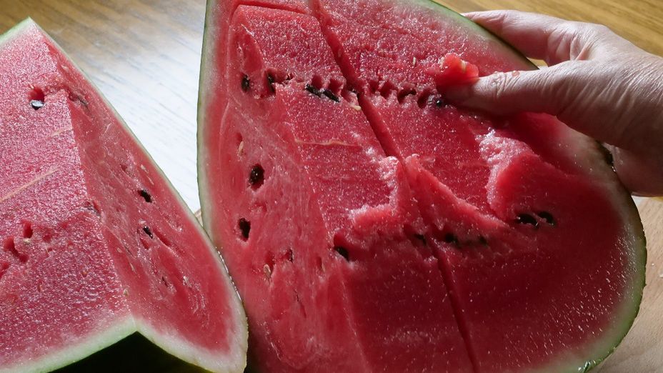 Przestaniesz wyrzucać pestki, gdy zobaczysz, co w sobie kryją. To prawdziwe superfoods