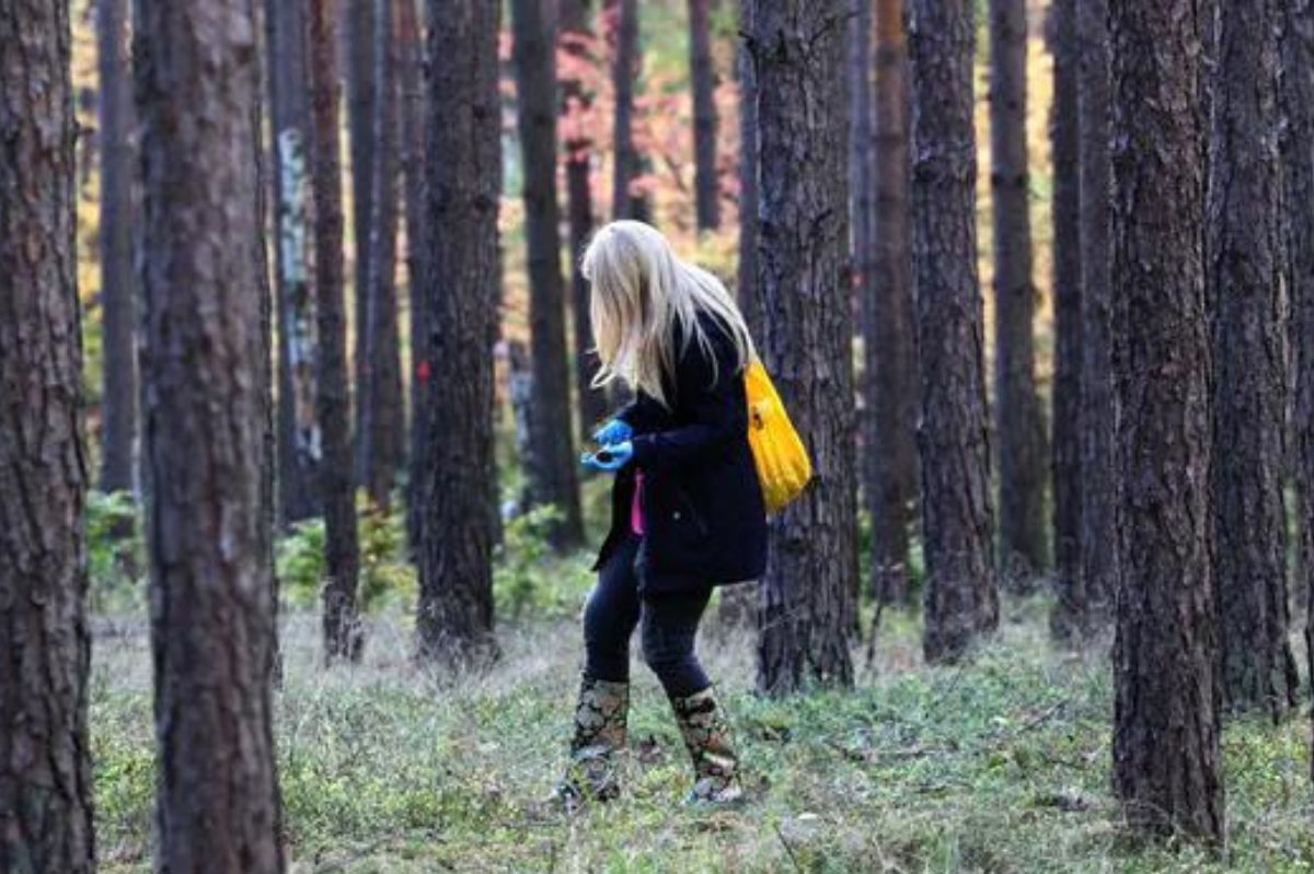 Leśnicy ostrzegają. "Wystarczył jeden słoneczny dzień"