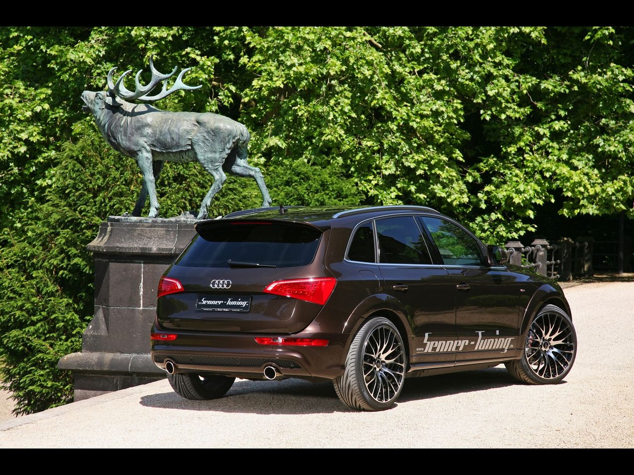 Senner Q5 2.0 TDI fot.11