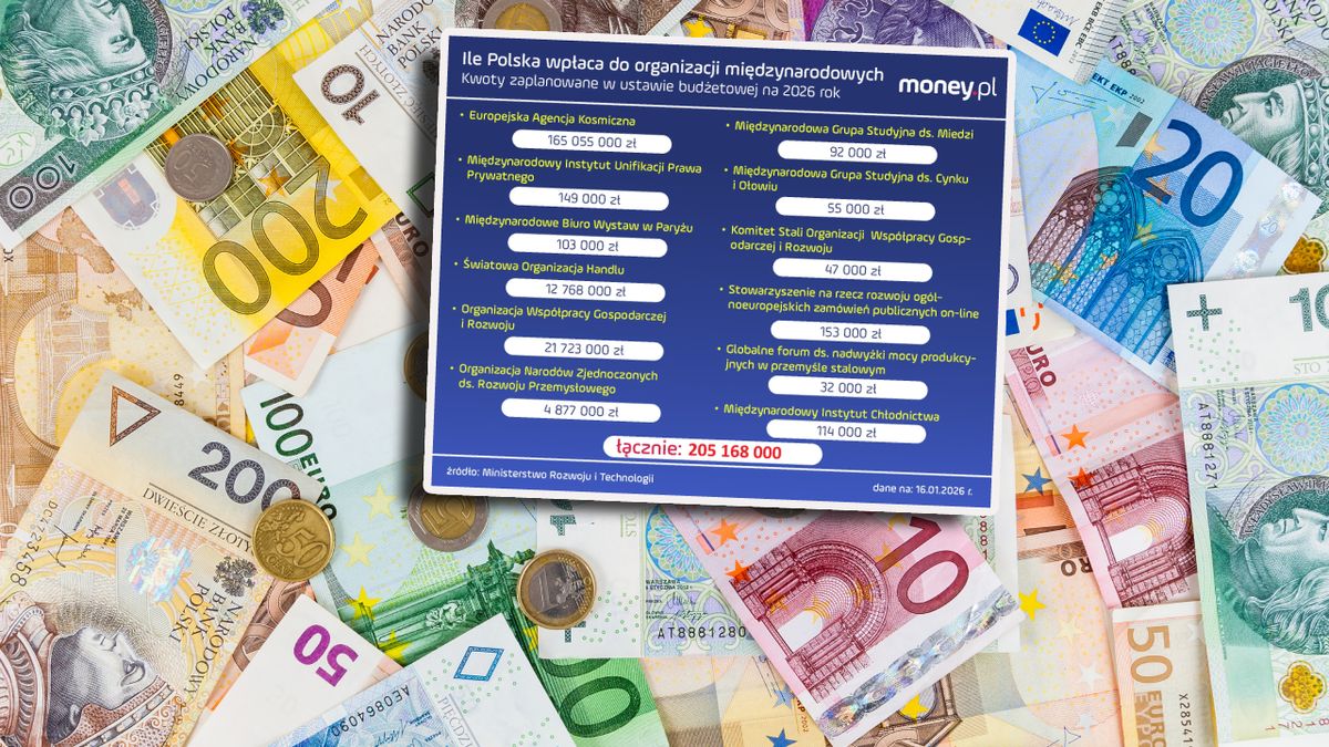 Składki Polski na organizacje międzynarodowe w 2026 r. są niższe