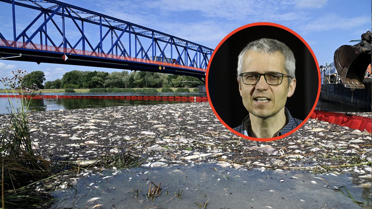 Instytut Prawa Performatywnego przy Fundacji Centralnej