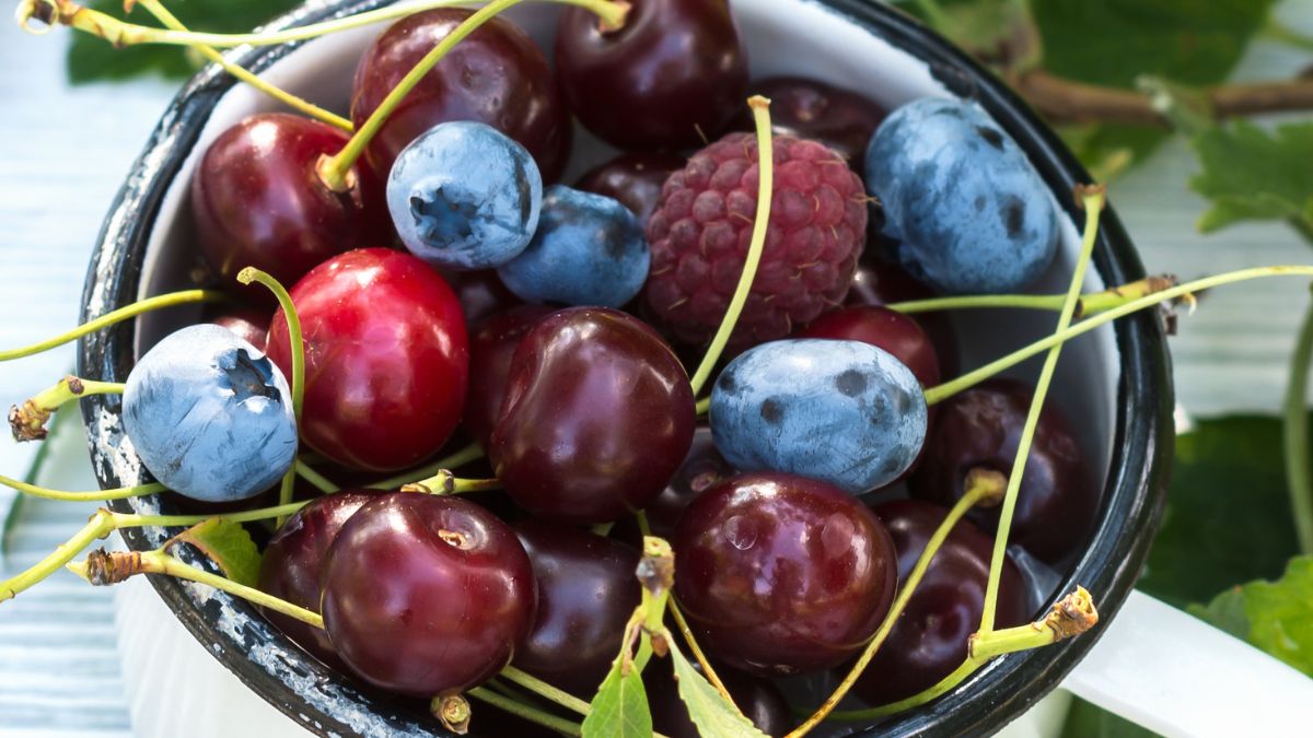Zajadamy się czereśnią, a zapominamy o wiśni