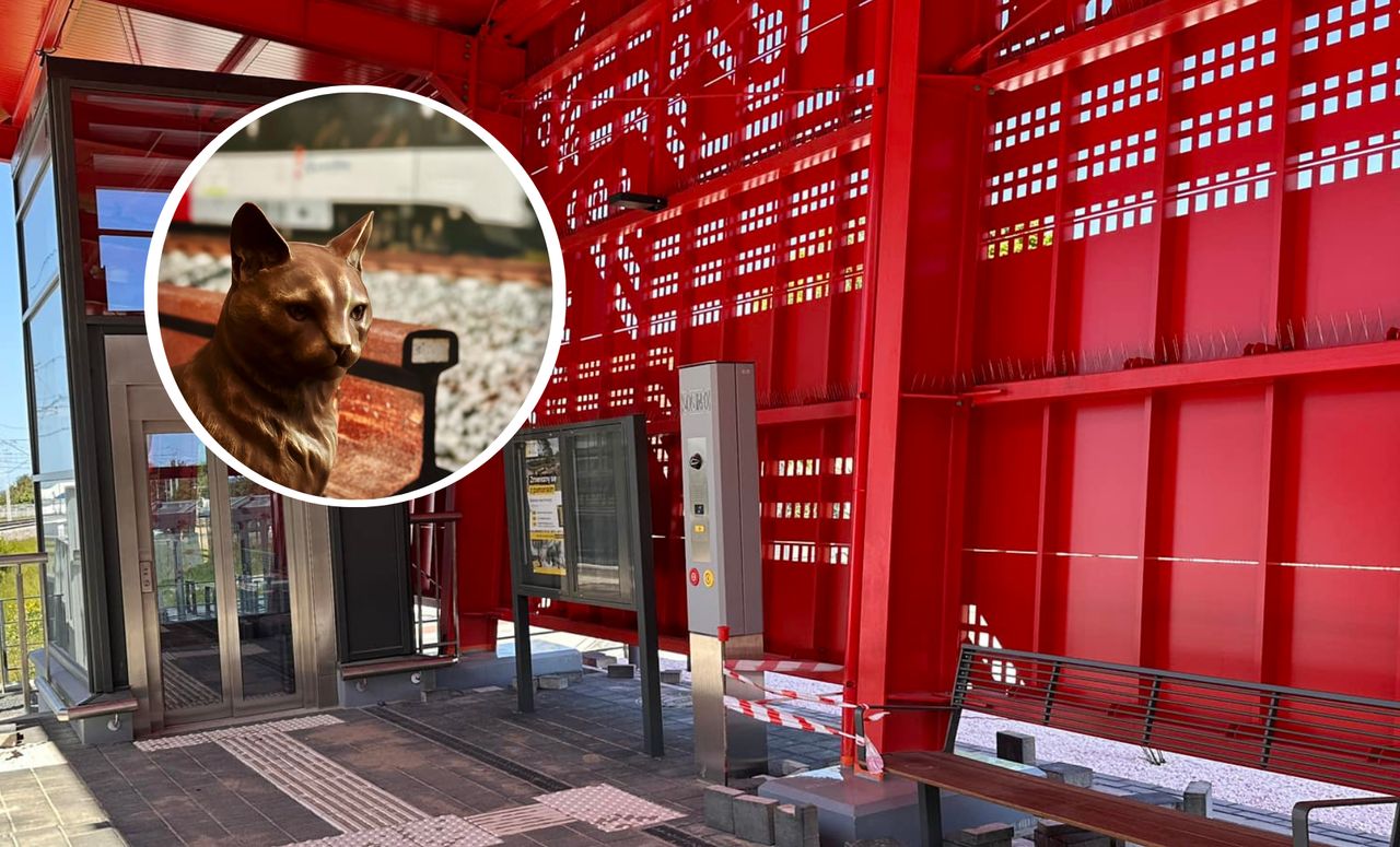 Kot odprowadzał swoją panią na pociąg. Postawiono mu pomnik w Gdańsku