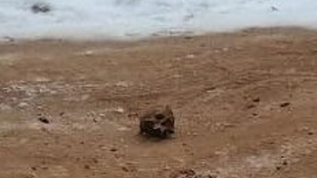 Drogowcy rozrzucili na drodze kości