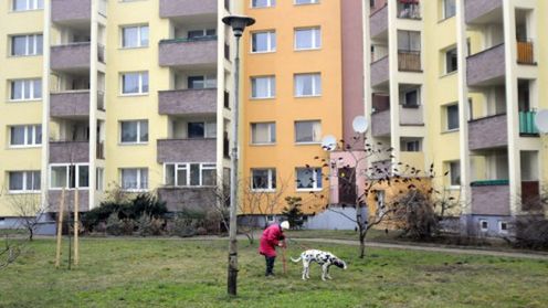 Spacer po fotoblogach: Spinacz spina i zmusza do myślenia 1