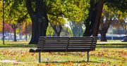 Szczecin: "Zielony Środek" Dąbia - powstanie nowy park kieszonkowy