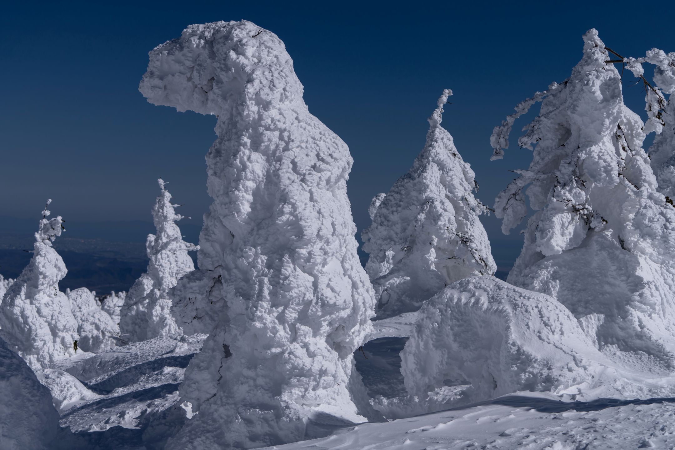 YAMAGATA, JAPAN - FEBRUARY 13: Snow-covered trees, known as "snow monsters" or "Juhyo" in Japanese, are seen on Mount Zao on February 13, 2024 in Yamagata, Japan. The area is one of the few places globally where the right combination of snow, strong winds, and low temperatures traps trees in layers of snow and ice, forming the unique shapes of snow-covered trees. Researchers reported last year that the distribution range of the "snow monsters" is shrinking due to global warming. (Photo by Tomohiro Ohsumi/Getty Images)
