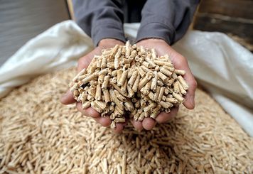 Tani pellet może już nie wrócić. "Doszliśmy do ściany"