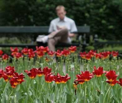 Mieszkańcy postawili ławki przed blokiem. Urzędnicy: Trzeba zdemontować