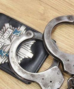 Oleśnica. Ponad cztery lata więzienia za celowe przejechanie psa. Sąd podwyższył wyrok