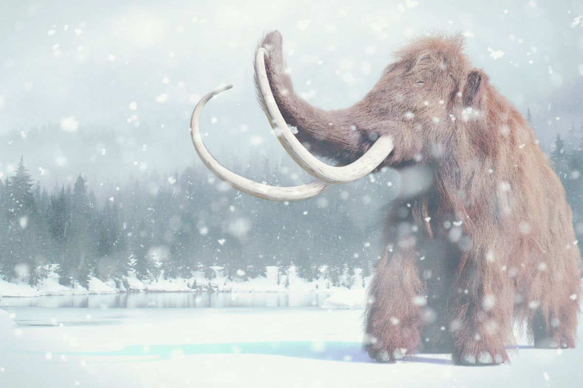 Did the Ice Age contribute to changes in the population of Europe?