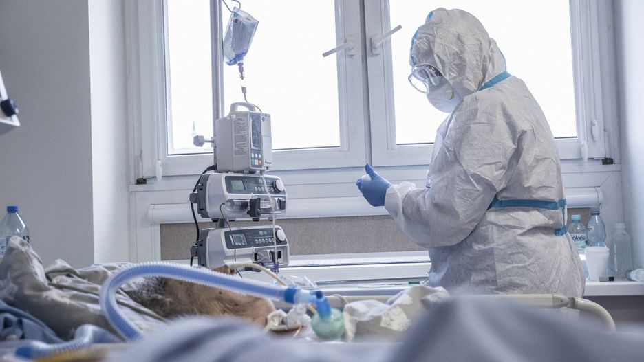 Nawet 800 tys. "rzeczywistych zakażeń"? Wirusolog ostrzega 