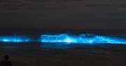 Ocean świecił na niebiesko. Zjawisko nazywane jest "zorzą morską"