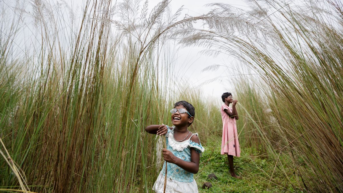 Sony World Photography Awards 2015 - przegląd najlepszych finałowych zdjęć 1