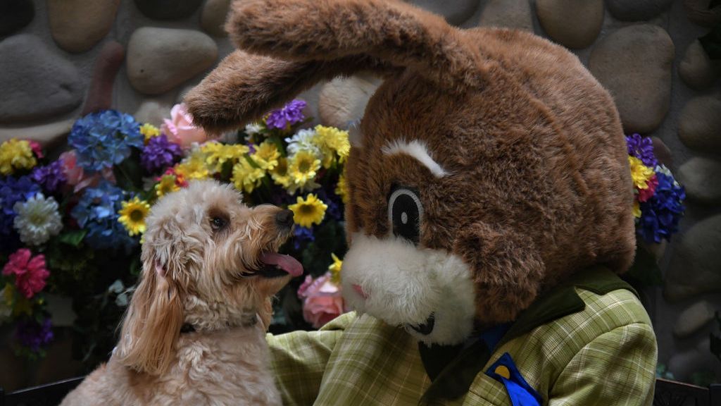 Wielkanoc 2020. Te święta będą inne niż wszystkie