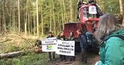 Ekolodzy znów blokują maszyny w Puszczy Białowieskiej. Doszło do przepychanek
