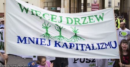 Fajna fucha ekologa. Zaczepia ludzi, zbiera na pszczoły, a 2700 zostaje mu w kieszeni