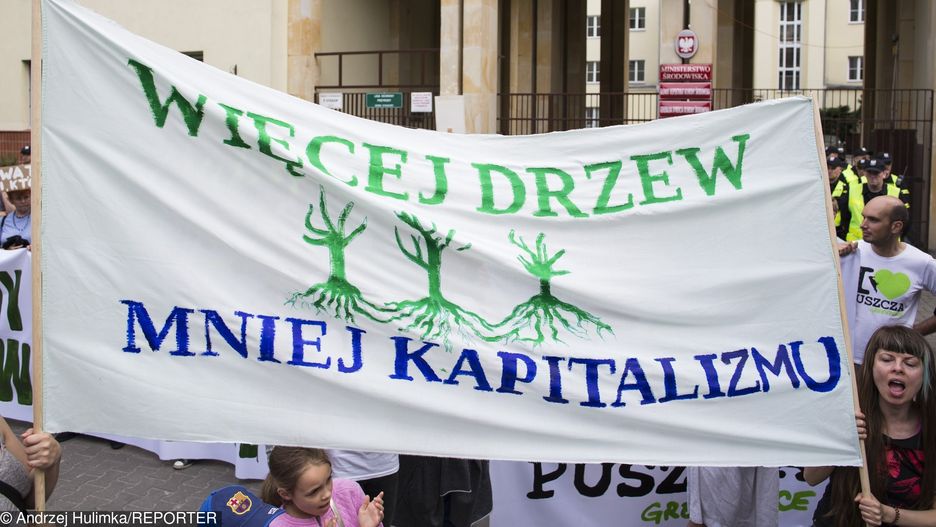 Jest płatna praca u ekologów Greenpeace - zbieracz datków