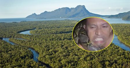 Dramatyczne nagranie z Borneo. Łowca węży ledwo uszedł z życiem