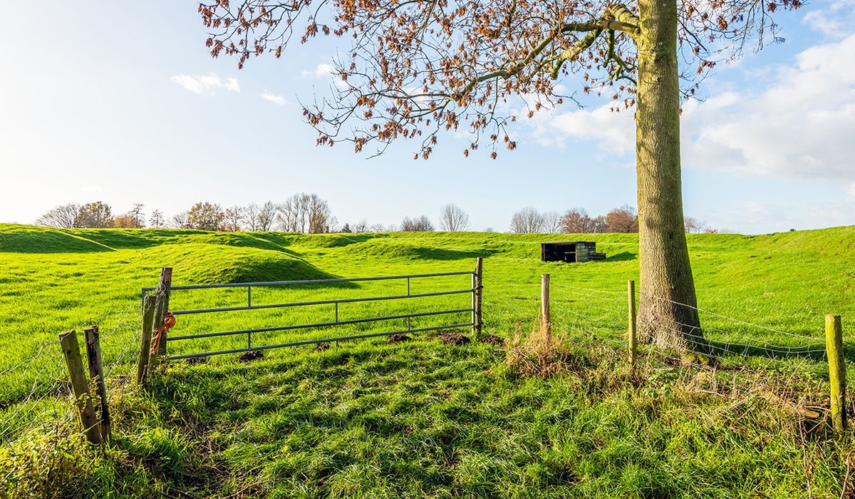 Rząd wprowadza zmiany. Tysiące działek może stracić na wartości