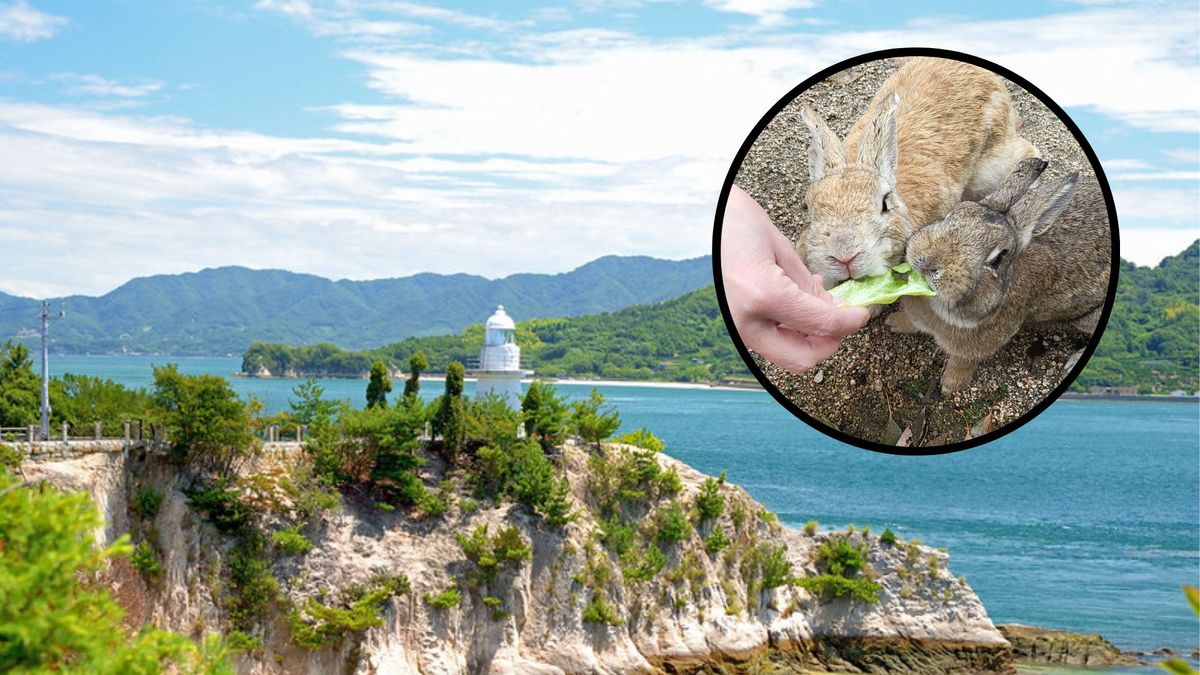 Ōkunoshima – wyspa królików z mroczną przeszłością
