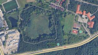 Włocławek: Oznaczenia na drzewach zaniepokoiły. Czy tu będzie wycinka?