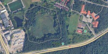 Włocławek: Oznaczenia na drzewach zaniepokoiły. Czy tu będzie wycinka?