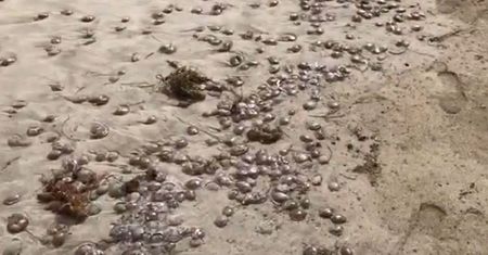 Zakaz przebywania na plaży w hiszpańskim raju dla turystów