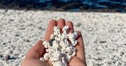 Popcorn Beach rozkradana przez turystów. Władze wyspy straciły cierpliwość