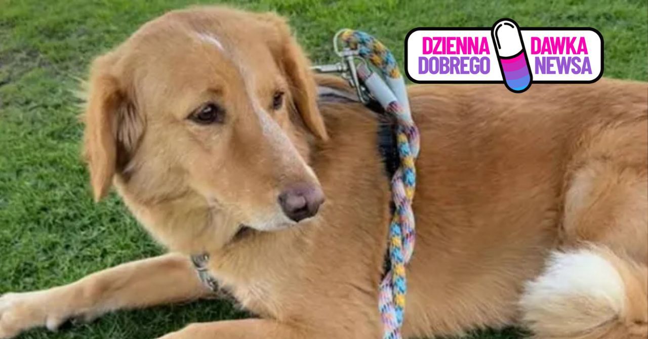 Amber wróciła do domu. Nie była to łatwa droga