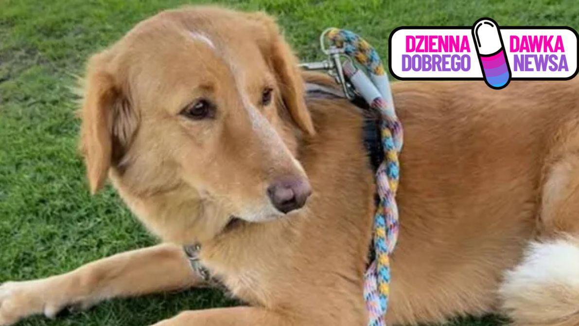 Amber wróciła do domu. Nie była to łatwa droga