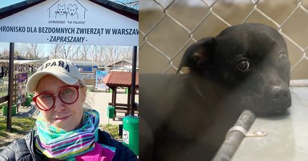 Agata Młynarska krytykuje Schronisko na Paluchu: "Nie udało się przekazać jedzenia! Darczyńcy odjechali z kwitkiem"
