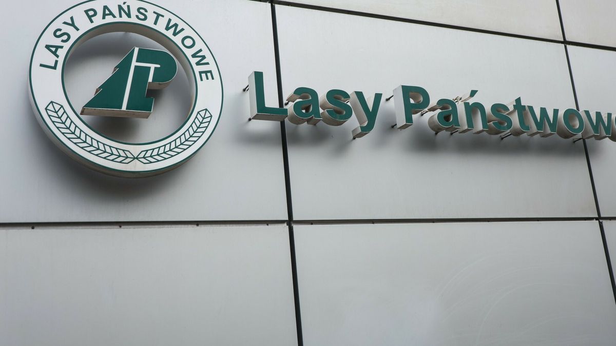 rokuratorzy przedstawili zarzuty b. dyrektorom Lasów Państwowych