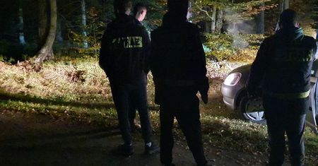 Poszła na grzyby. Zapomniała o jednej rzeczy. Skończyło się w szpitalu