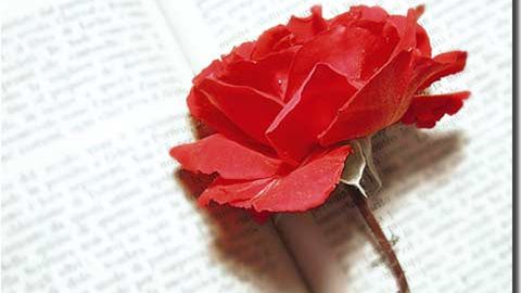 "...gdzie ci mężczyźni..." 1