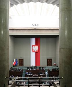 Posiedzenie Sejmu. Piątka dla zwierząt. Posłowie zajmują się nowelizacją ustawy