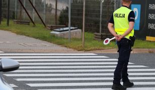 Zacznie się w poniedziałek. Kary dla właścicieli aut do 12 tys. zł