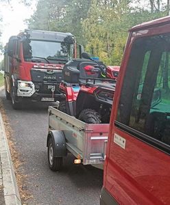 Poszła do lasu na grzyby. Musiała wezwać ratowników