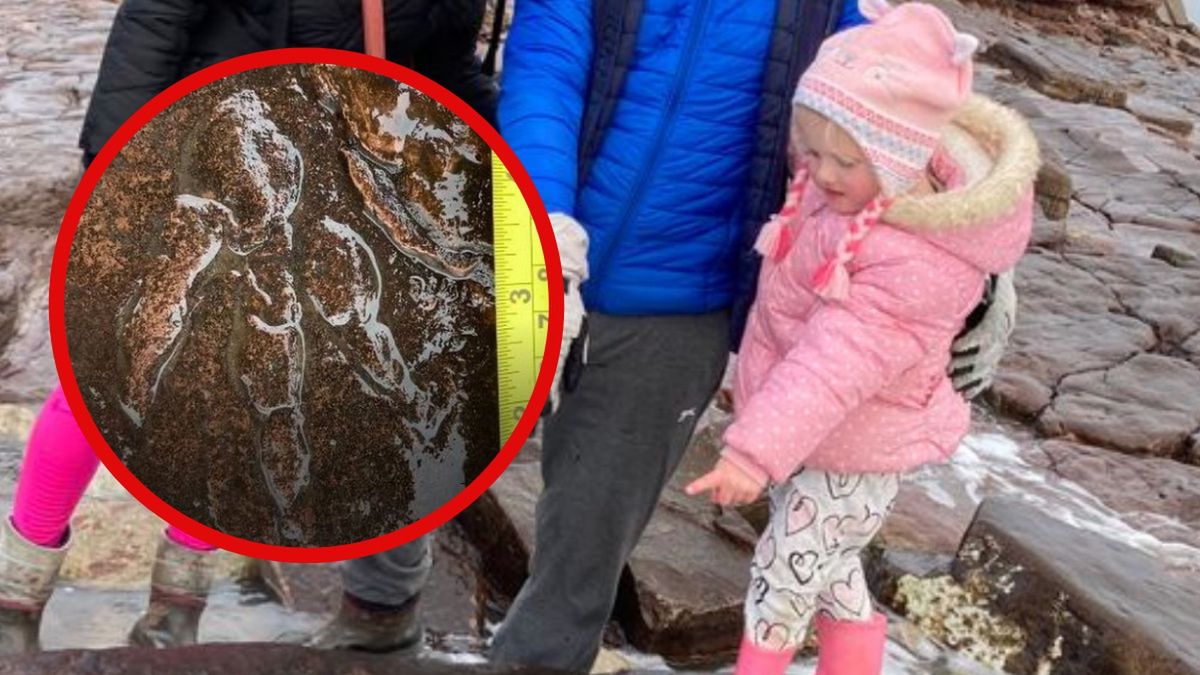 dinozaur odkrycie dziecko