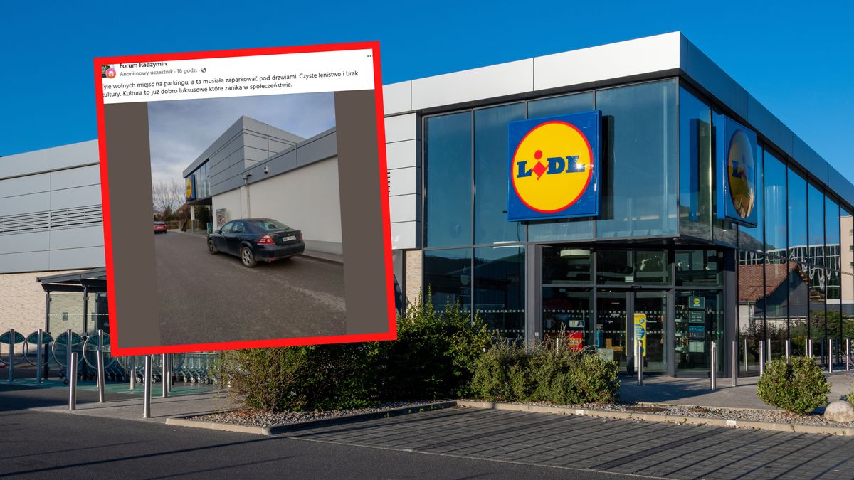 Ktoś w ten sposób zaparkował przy Lidlu.