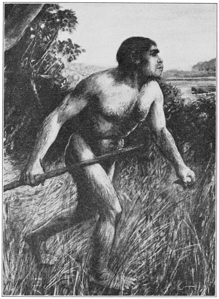 Rekonstrukcja Eoanthropus dawsoni z 1913 roku