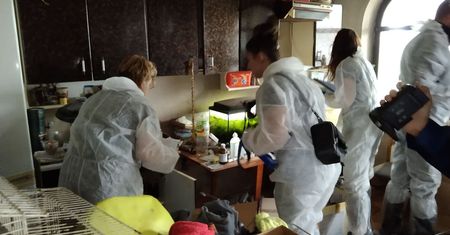 Dramat psów z pseudohodowli w Łapalicach. Były karmione spleśniałymi drożdżówkami