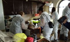 Dramat psów z pseudohodowli w Łapalicach. Były karmione spleśniałymi drożdżówkami