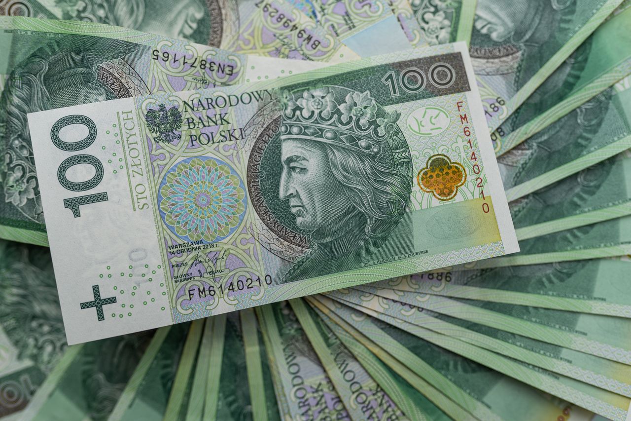 waluta, pln, gotówka, finanse, bogactwo, 100, bank, papier, banknoty, banknot, tax