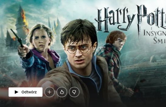 Z Netflixa znika rekordowo dużo filmów i seriali, m.in. „Harry Potter”, „Władca Pierścieni” i "Przyjaciele"