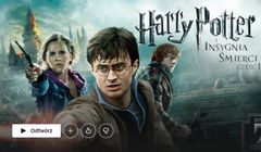 Z Netflixa znika rekordowo dużo filmów i seriali, m.in. „Harry Potter”, „Władca Pierścieni” i "Przyjaciele"