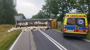 Mosty: BMW zderzyło się z ciężarówką przewożącą drób. Zginęła 52-letnia kobieta