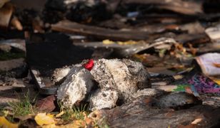 Tragiczny pożar w Poznaniu. "Karince płomienie odcięły drogę"