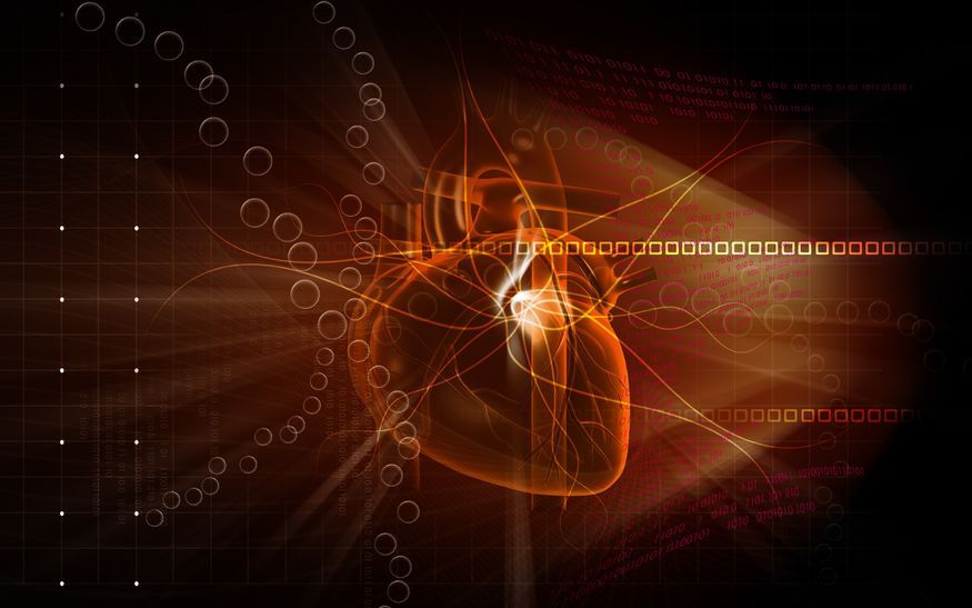 Ablacje lewej komory serca mogą prowadzić do zmian w mózgu